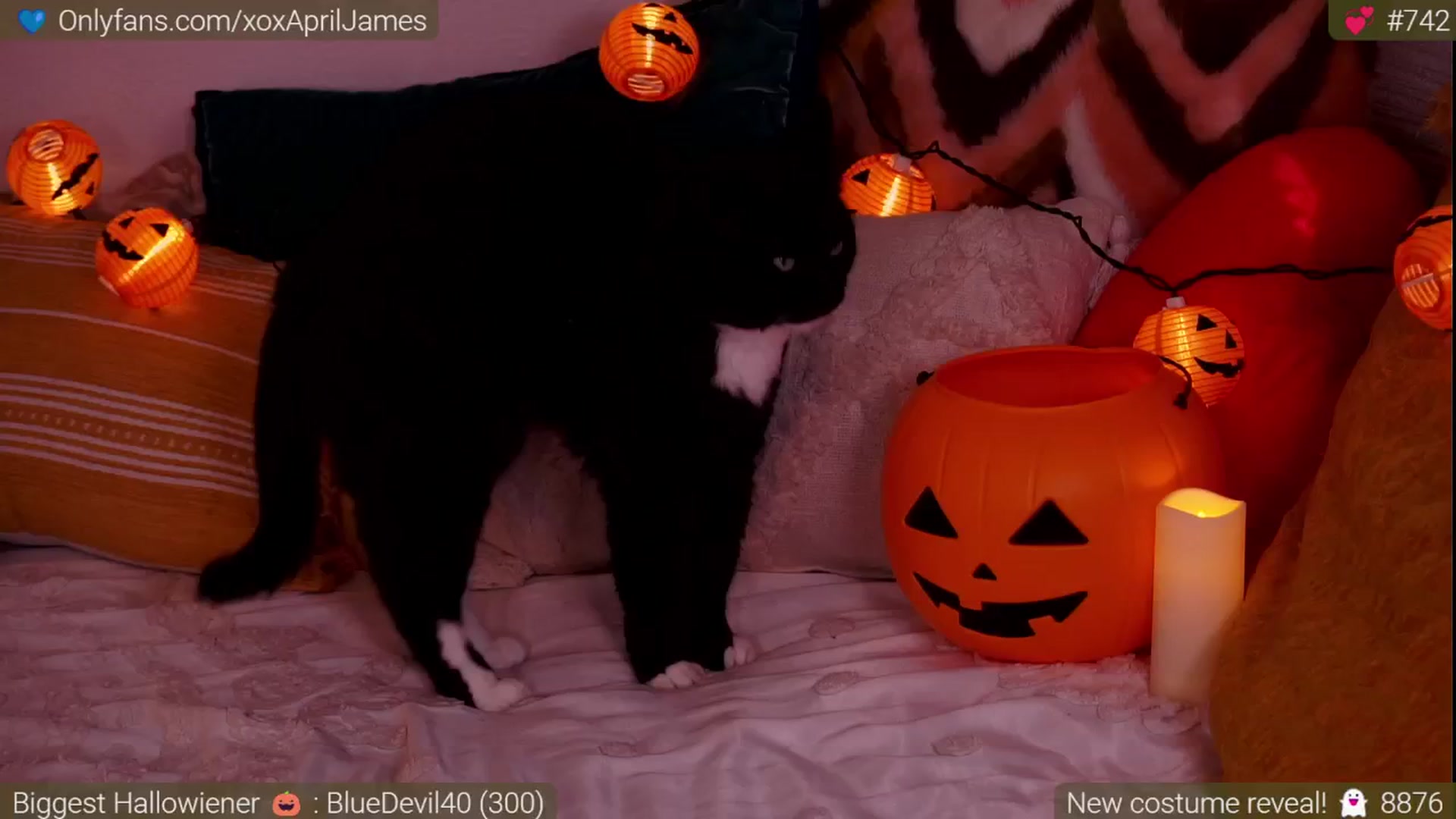 Gallery image thumbnail from AprilJames's myfreecams stream on, 10/05/2024, 23:27 image 17 of 20