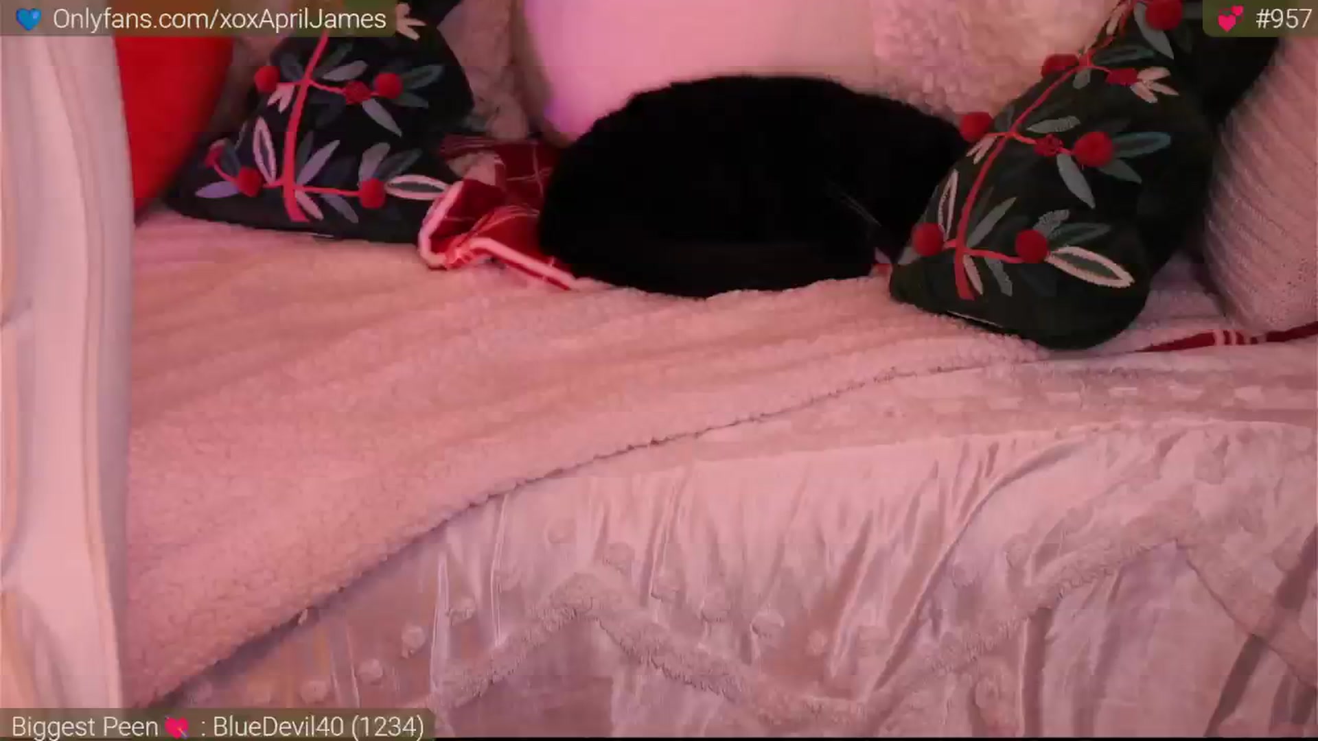 Gallery image thumbnail from AprilJames's myfreecams stream on, 12/05/2024, 24:05 image 19 of 20