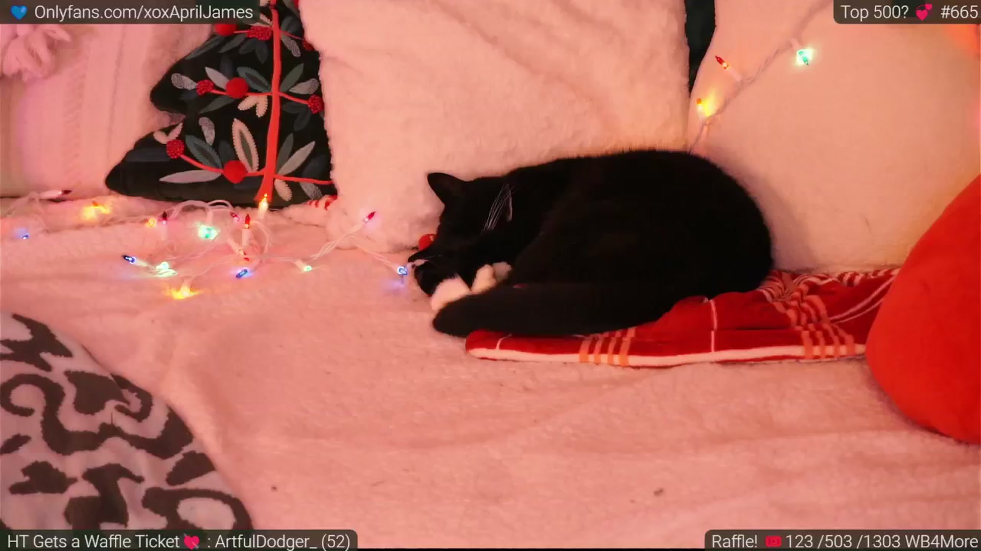 Gallery image thumbnail from AprilJames's myfreecams stream on, 12/24/2024, 24:36 image 4 of 20