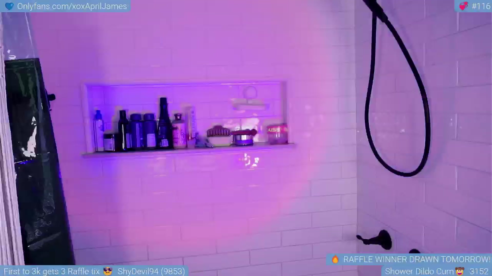 Gallery image thumbnail from AprilJames's myfreecams stream on, 06/02/2025, 23:47 image 3 of 20