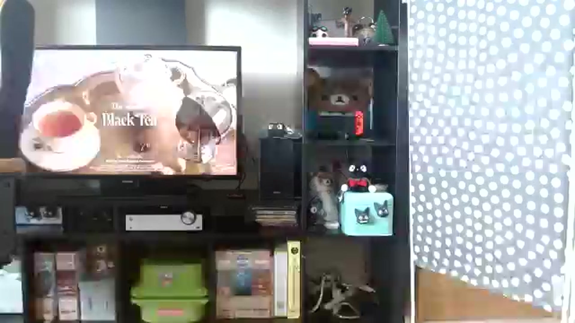 Gallery image thumbnail from AprilMei's myfreecams stream on, 06/13/2024, 17:17 image 9 of 20