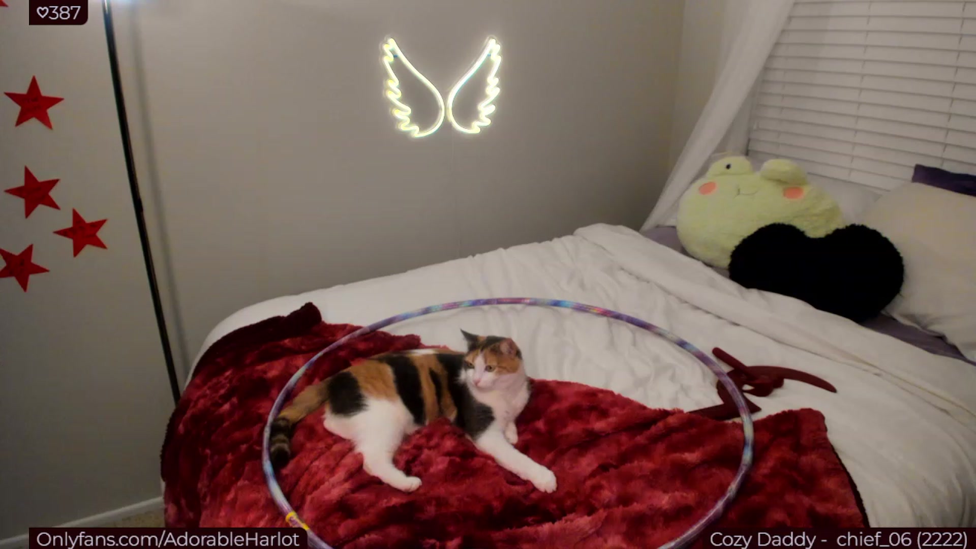 Gallery image thumbnail from Aprilxxo's myfreecams stream on, 02/23/2023, 06:52 image 9 of 20