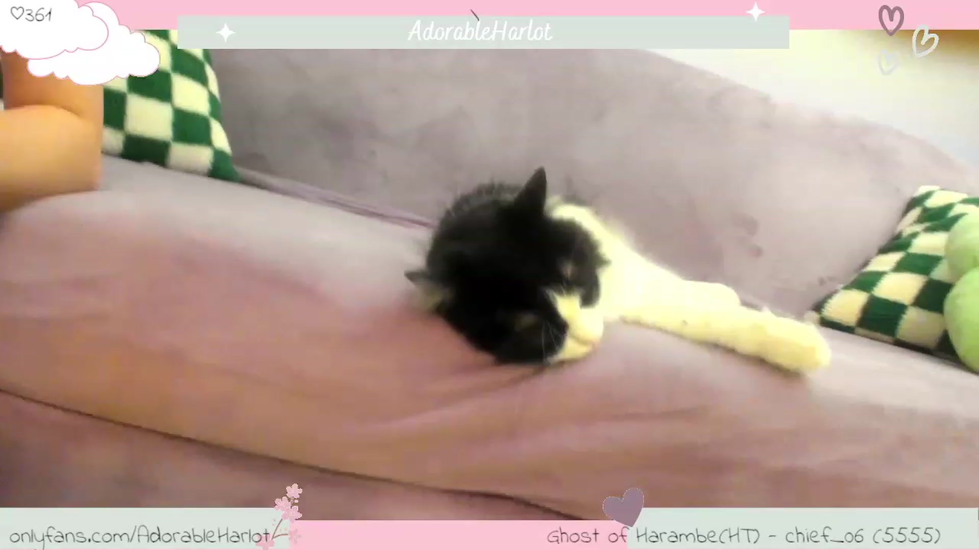 Gallery image thumbnail from Aprilxxo's myfreecams stream on, 07/22/2023, 06:27 image 13 of 20