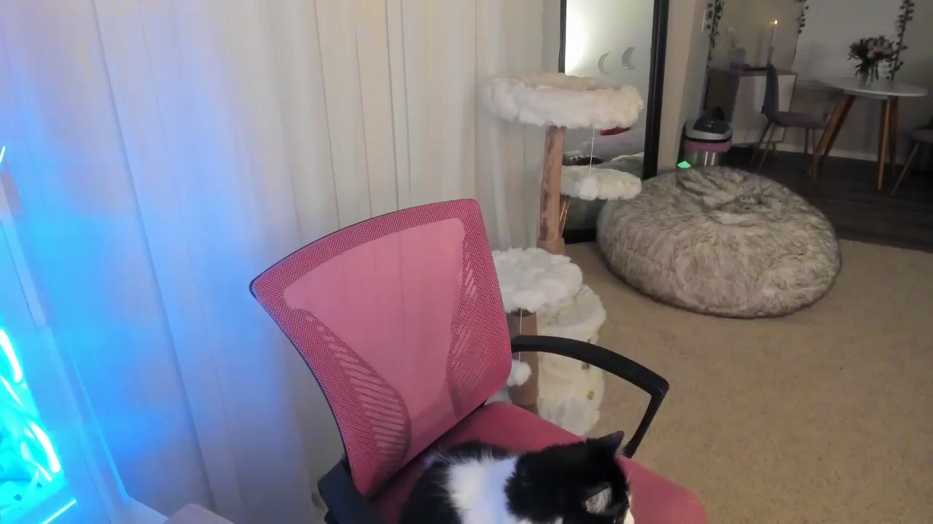 Gallery image thumbnail from Aprilxxo's myfreecams stream on, 09/07/2024, 06:17 image 12 of 20