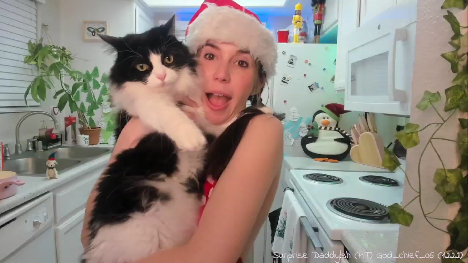 Gallery image thumbnail from Aprilxxo's myfreecams stream on, 12/27/2024, 06:16 image 12 of 20