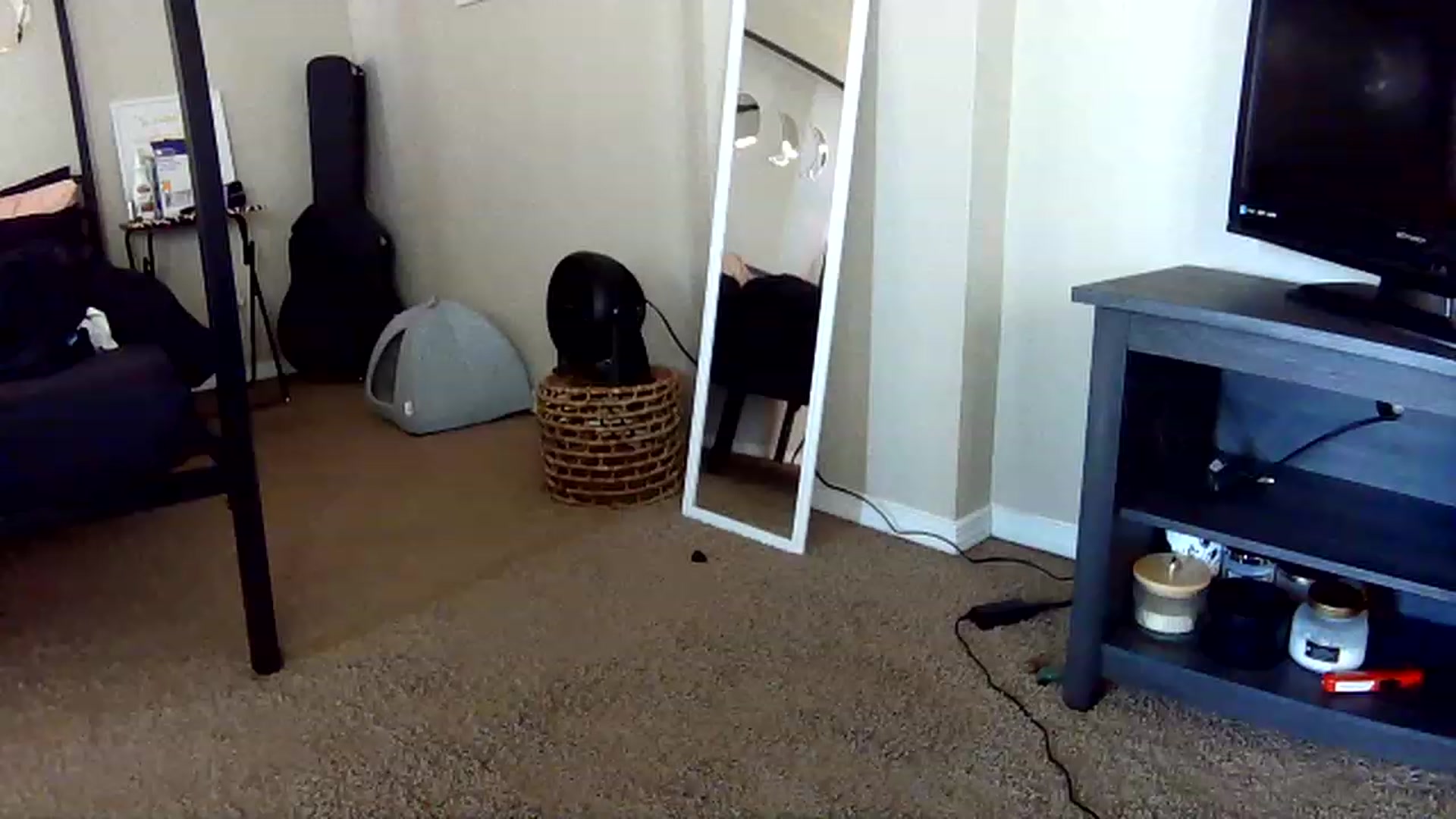 Gallery image thumbnail from AquariusBabe6's myfreecams stream on, 12/27/2022, 17:32 image 1 of 20