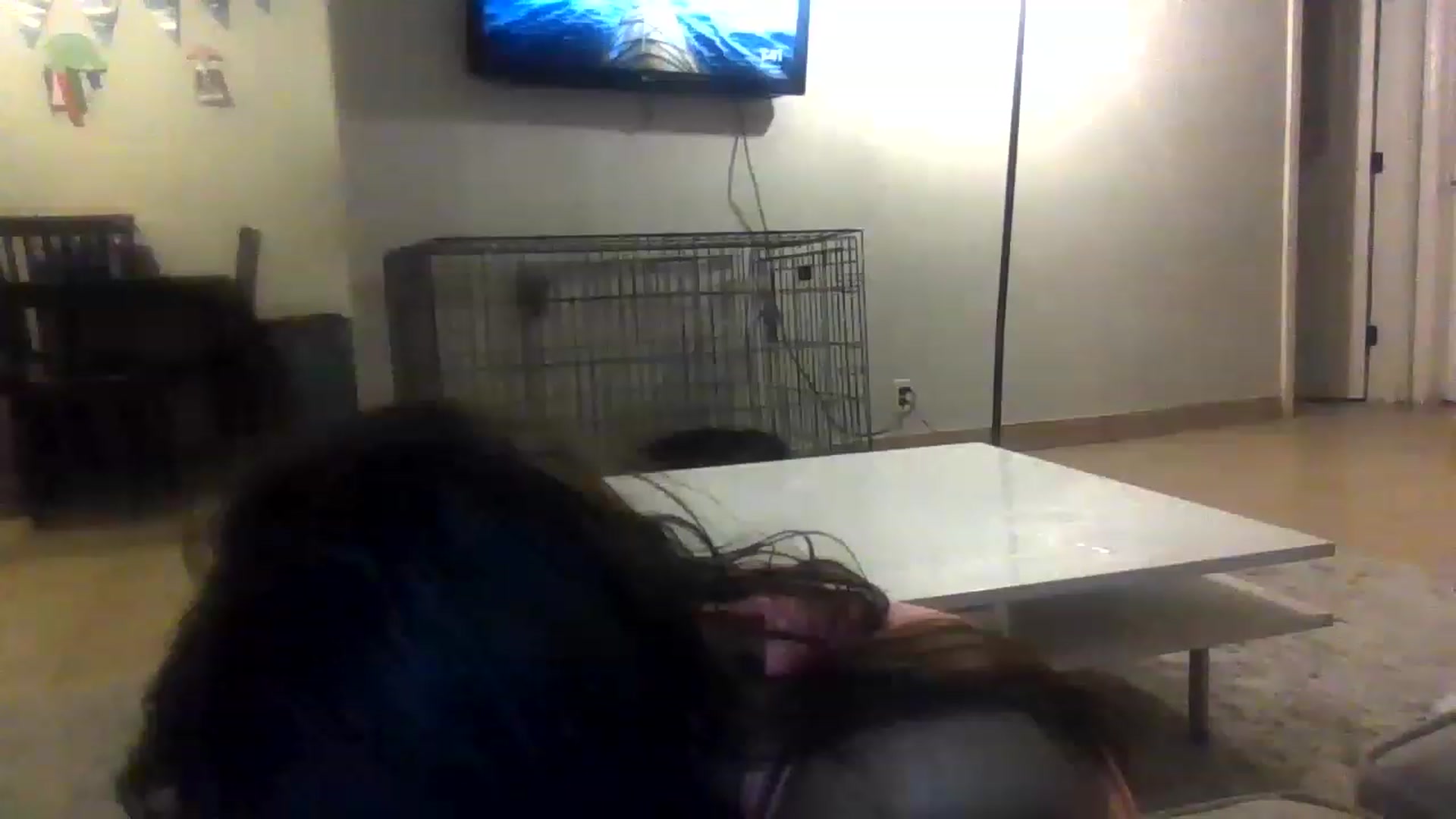 Gallery image thumbnail from Aracelyx3's myfreecams stream on, 02/05/2023, 09:55 image 12 of 20