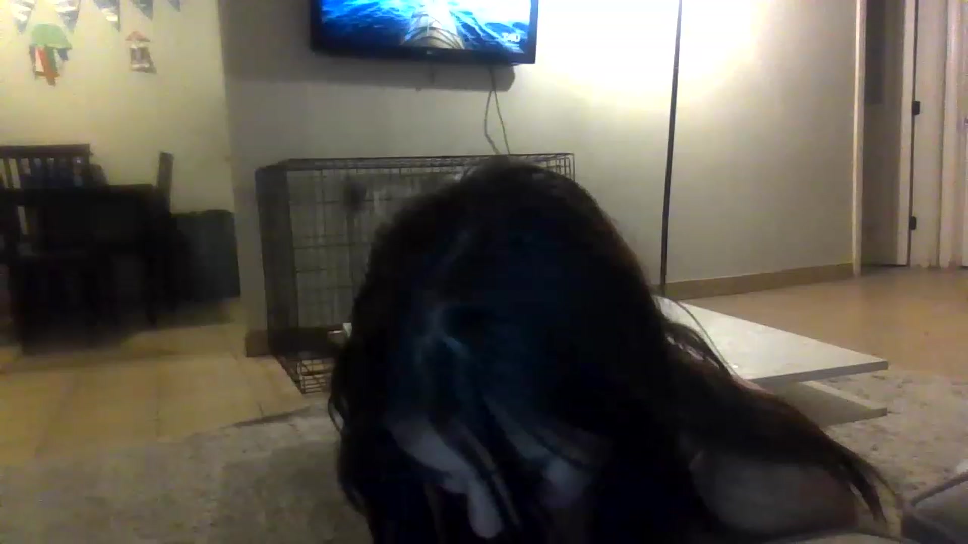 Gallery image thumbnail from Aracelyx3's myfreecams stream on, 02/05/2023, 09:55 image 11 of 20