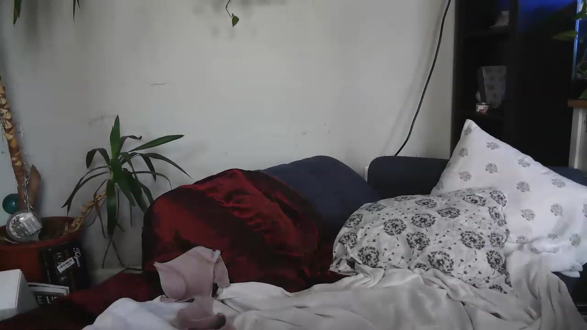 Gallery image thumbnail from AriaFields's myfreecams stream on, 12/07/2022, 21:50 image 12 of 20