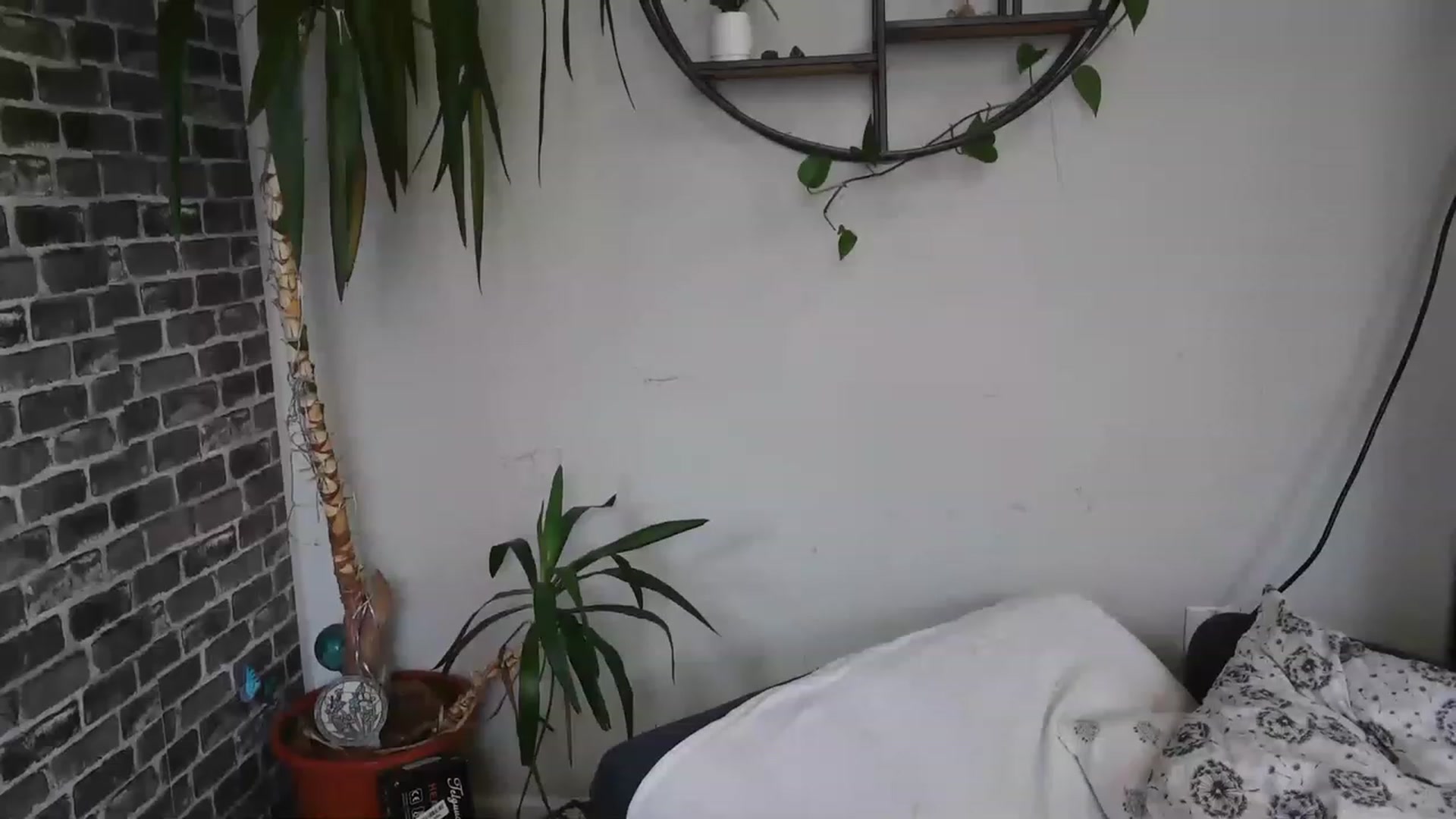 Gallery image thumbnail from AriaFields's myfreecams stream on, 12/09/2022, 18:55 image 20 of 20