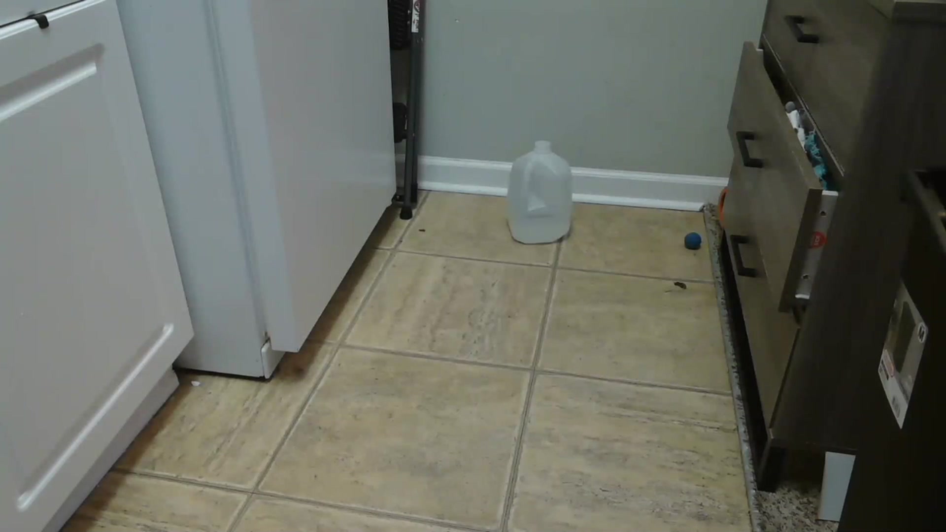Gallery image thumbnail from AriaFields's myfreecams stream on, 12/12/2022, 22:45 image 19 of 20