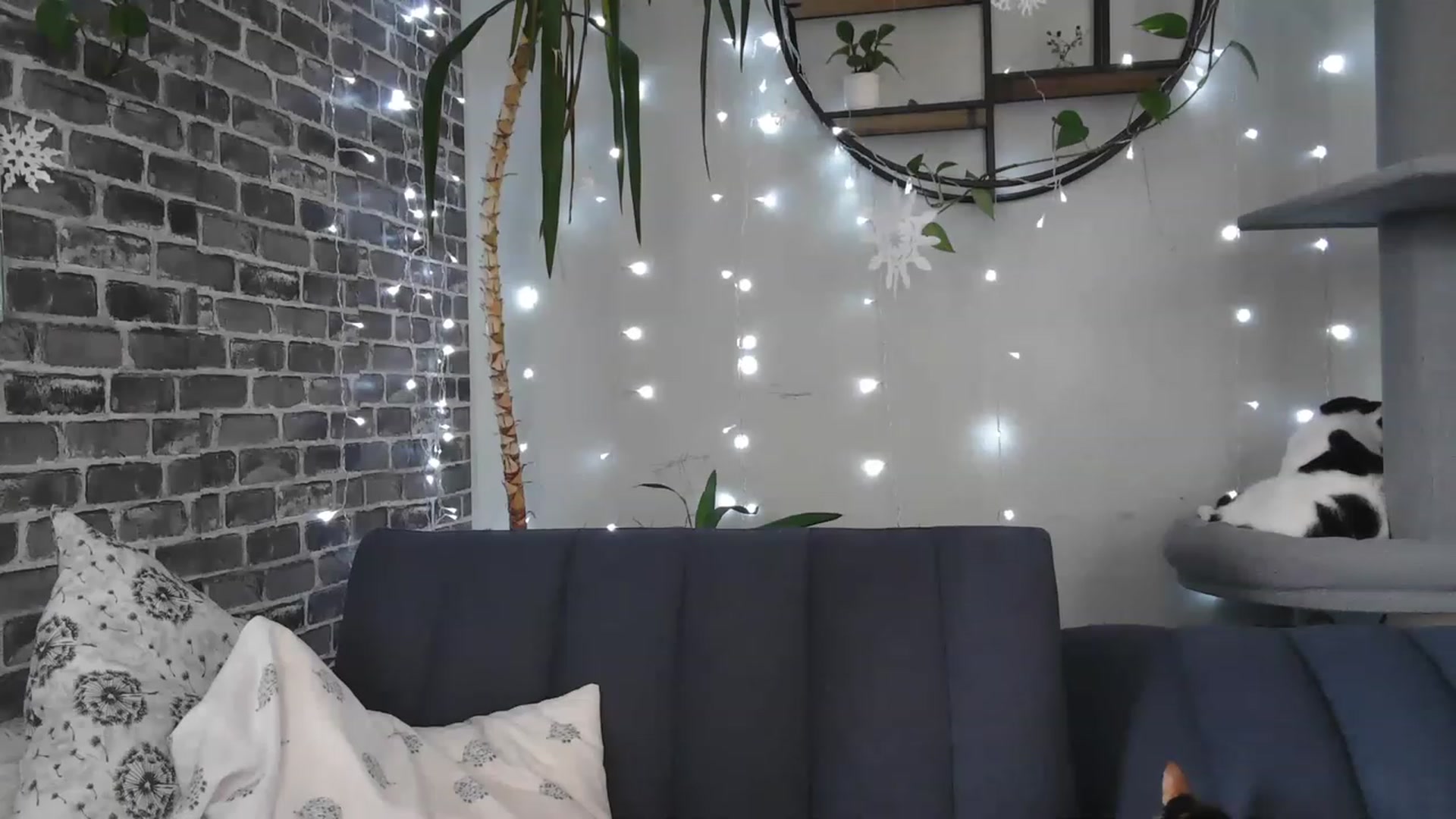 Gallery image thumbnail from AriaFields's myfreecams stream on, 01/13/2023, 19:07 image 20 of 20
