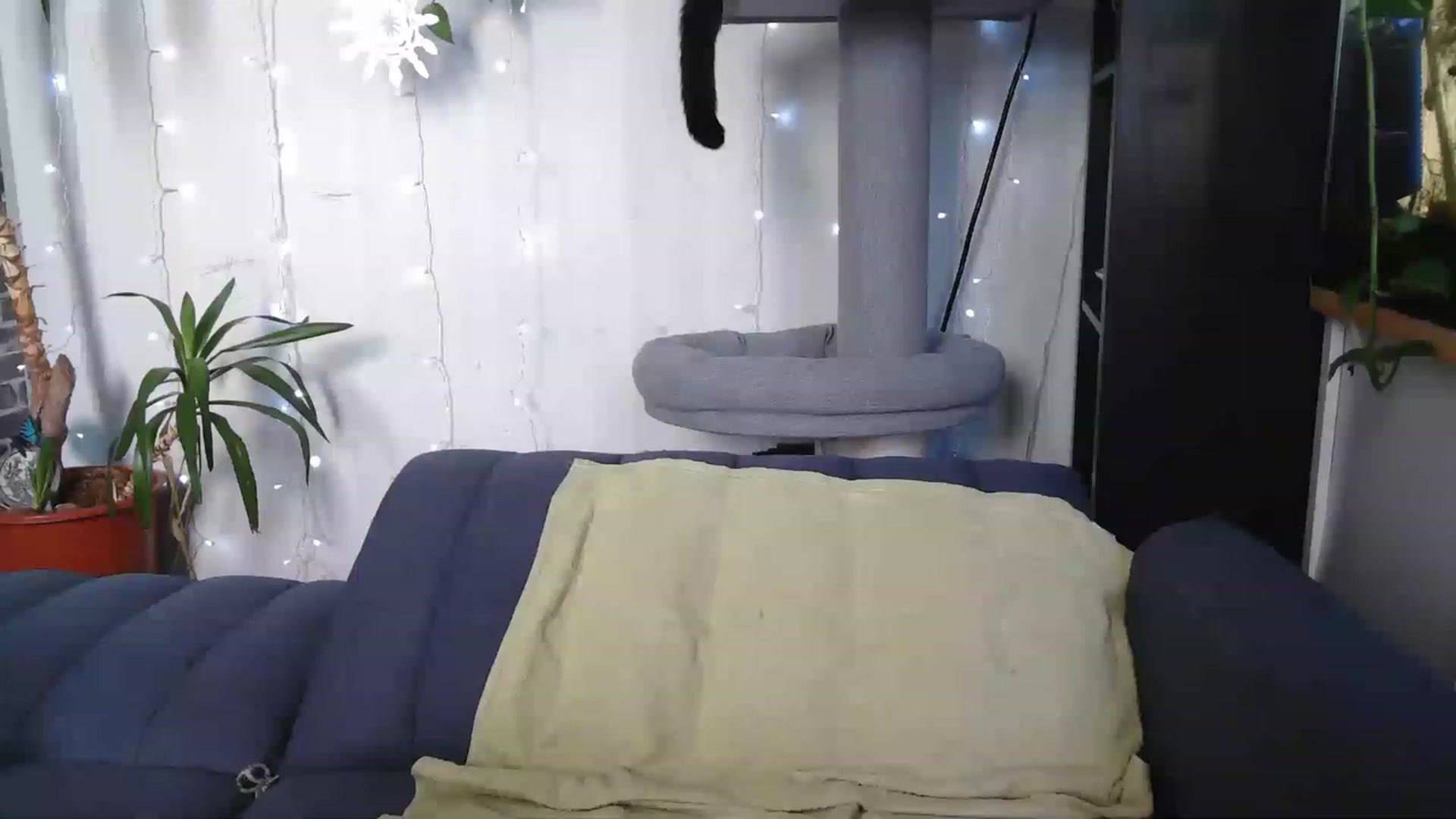 Gallery image thumbnail from AriaFields's myfreecams stream on, 01/20/2023, 17:49 image 15 of 20
