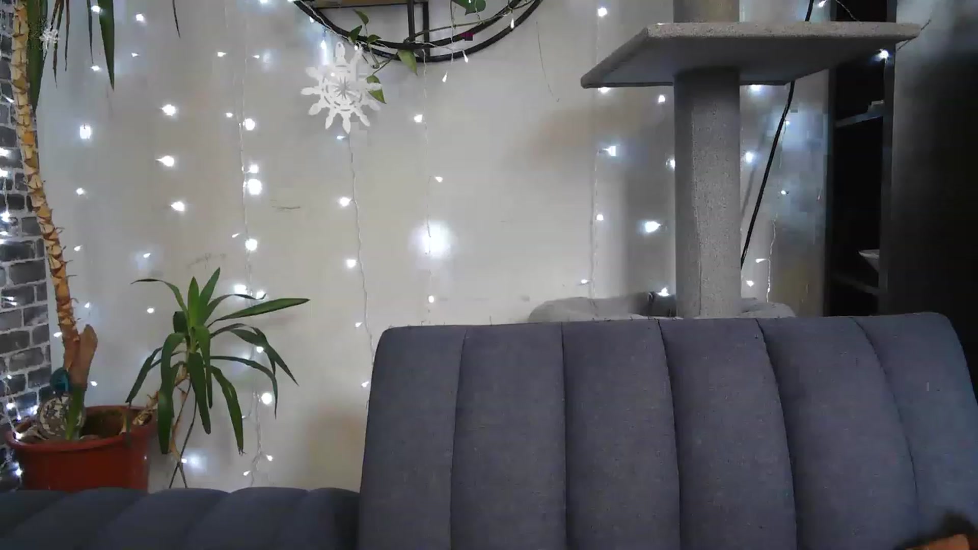 Gallery image thumbnail from AriaFields's myfreecams stream on, 01/21/2023, 16:56 image 19 of 20