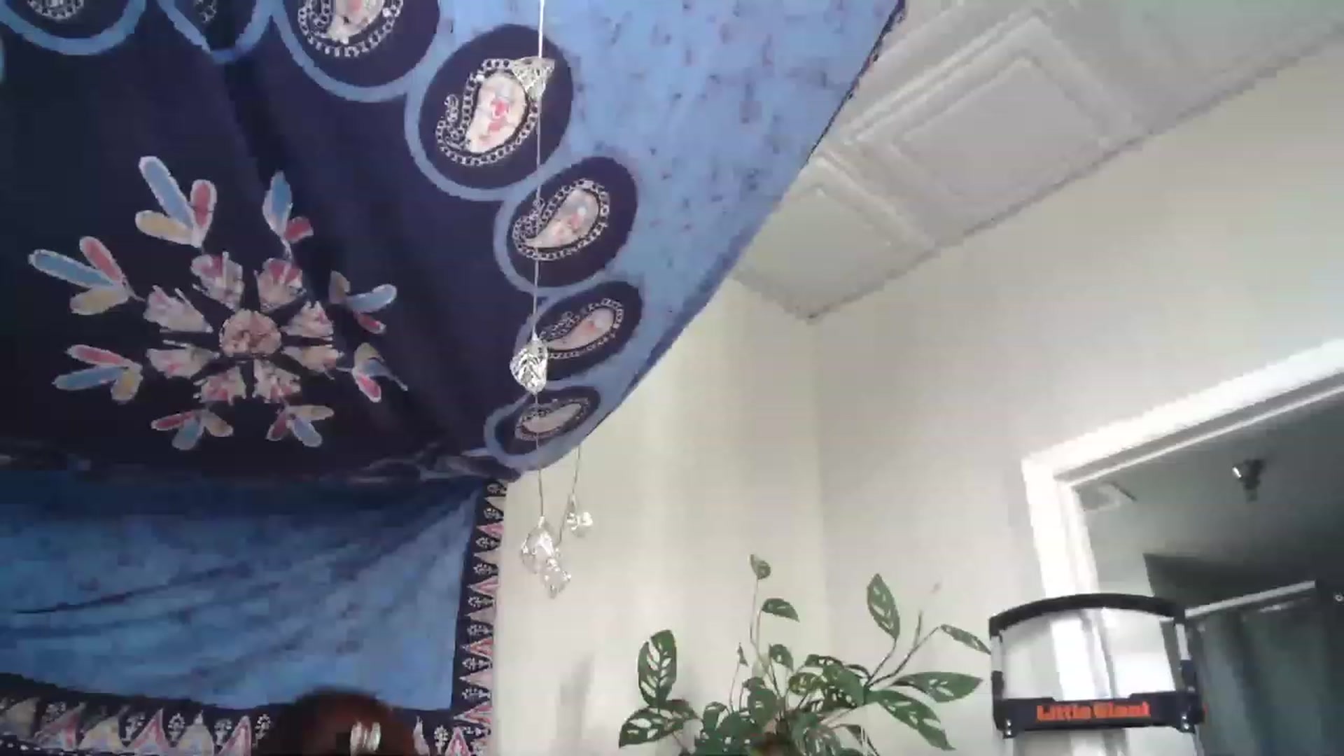 Gallery image thumbnail from AriaFields's myfreecams stream on, 01/26/2023, 18:31 image 15 of 20