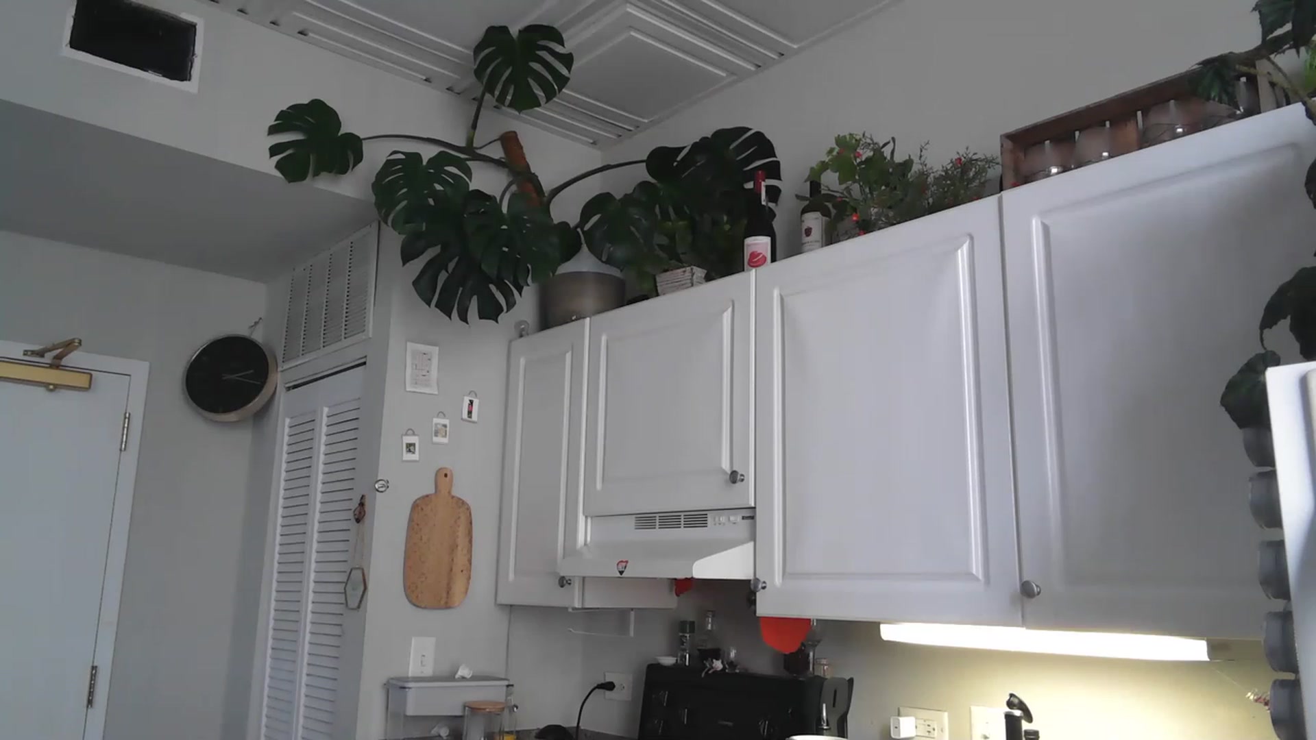 Gallery image thumbnail from AriaFields's myfreecams stream on, 01/30/2023, 18:47 image 8 of 20