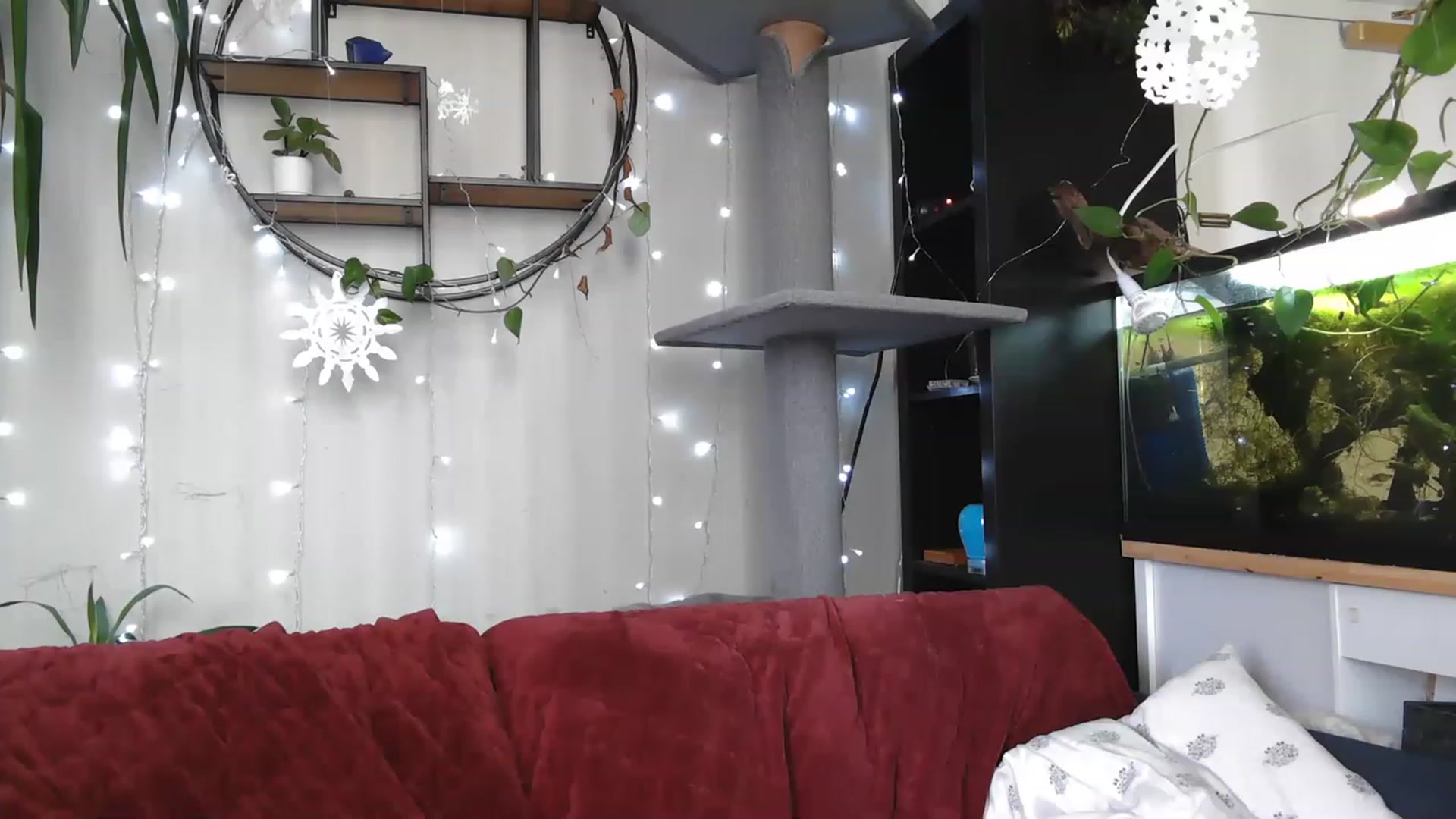 Gallery image thumbnail from AriaFields's myfreecams stream on, 03/06/2023, 18:04 image 20 of 20