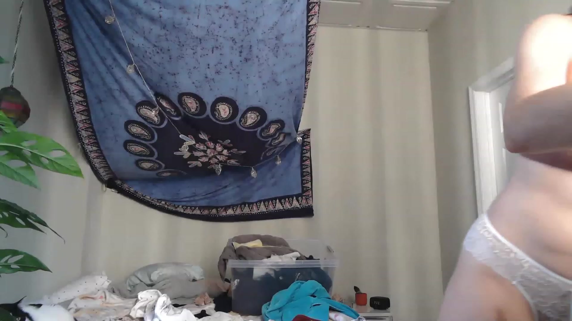 Gallery image thumbnail from AriaFields's myfreecams stream on, 03/06/2023, 19:31 image 16 of 20