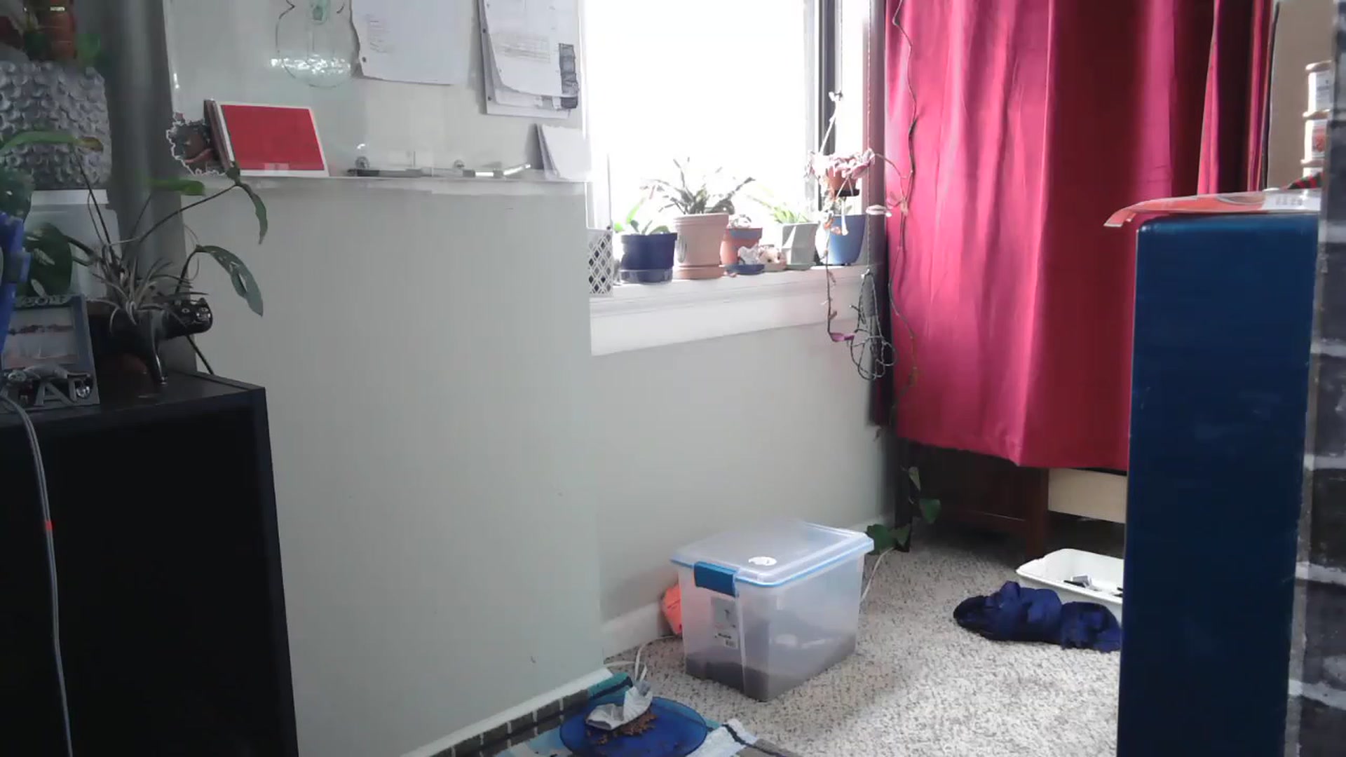 Gallery image thumbnail from AriaFields's myfreecams stream on, 03/17/2023, 18:05 image 3 of 20