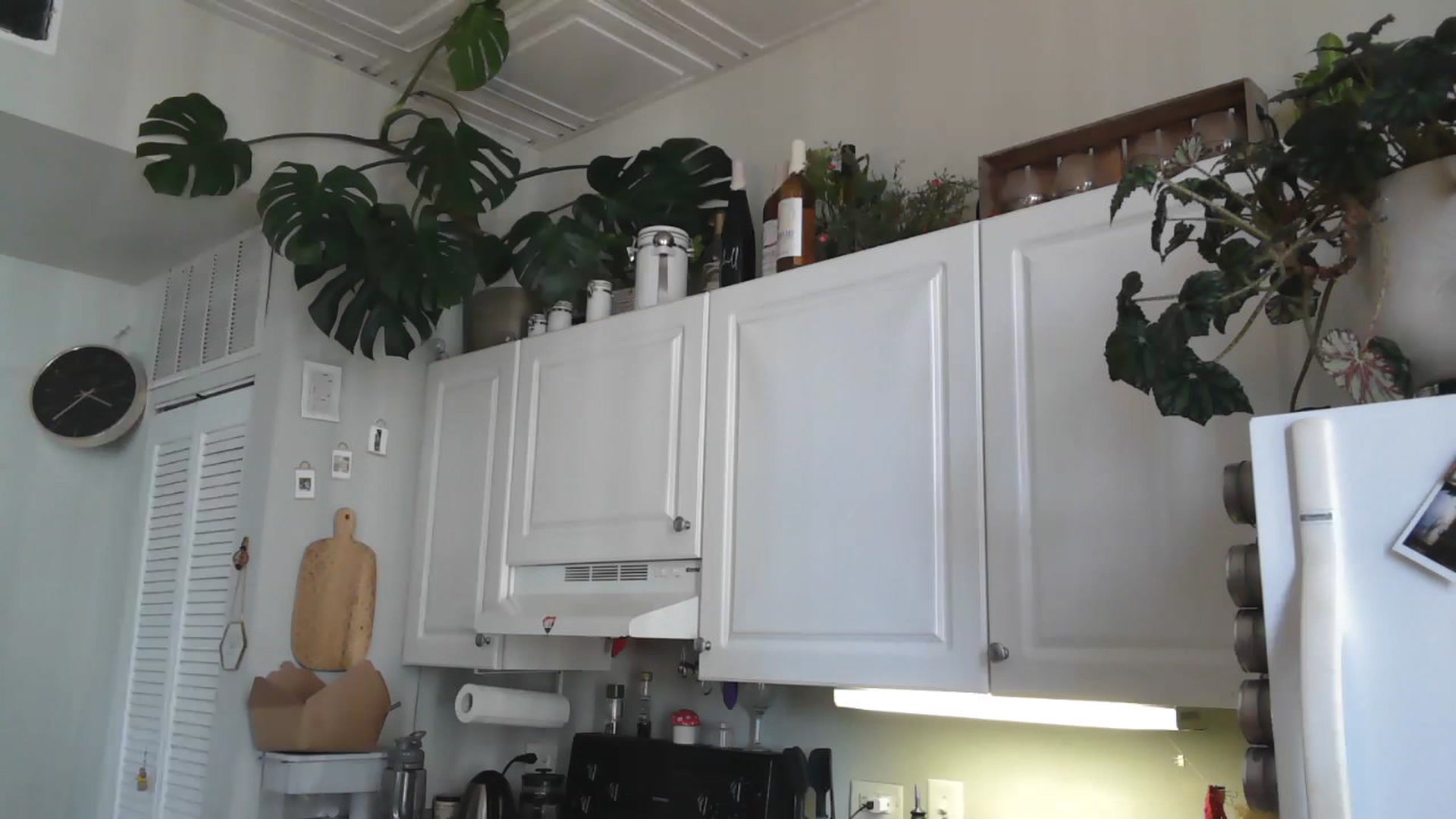 Gallery image thumbnail from AriaFields's myfreecams stream on, 03/31/2023, 19:55 image 16 of 20