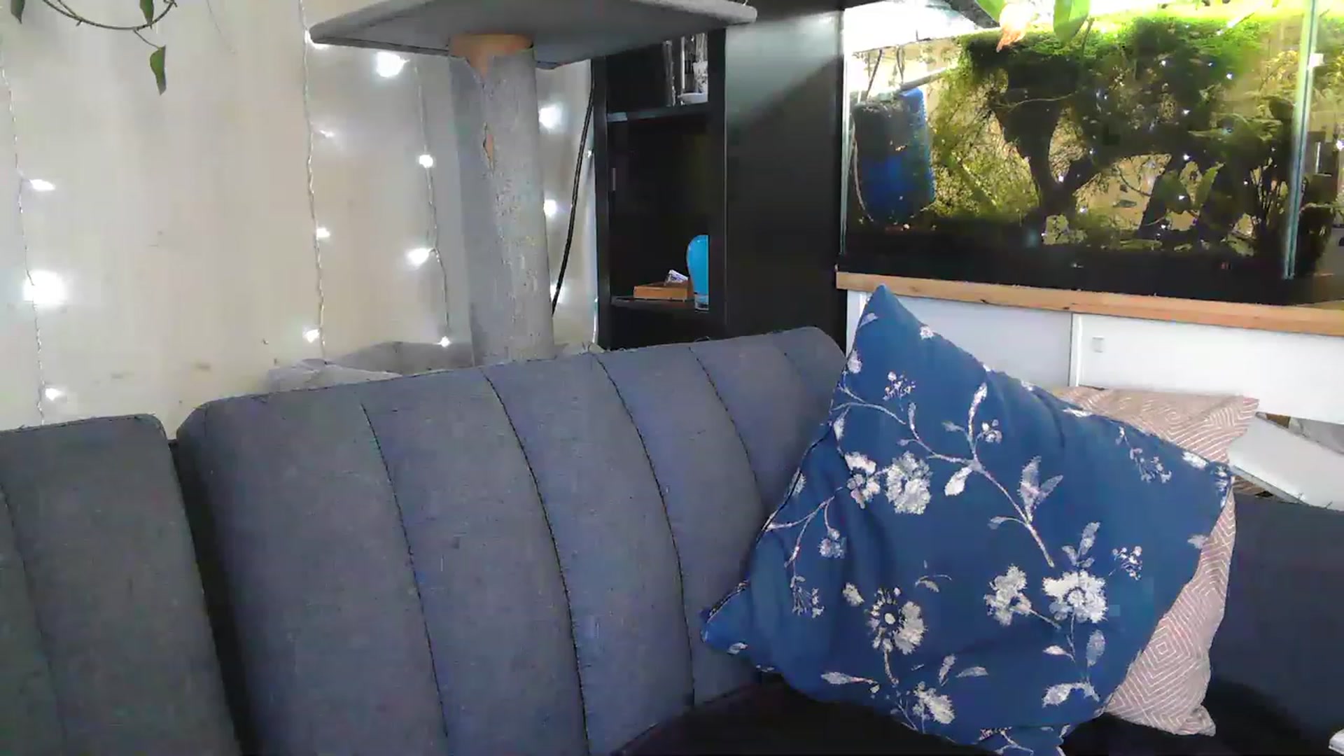 Gallery image thumbnail from AriaFields's myfreecams stream on, 04/17/2023, 19:02 image 3 of 20