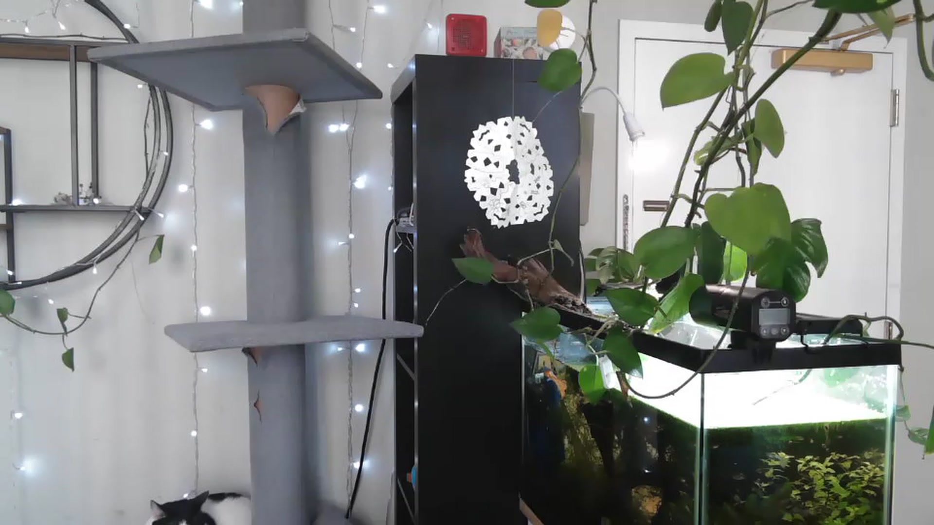 Gallery image thumbnail from AriaFields's myfreecams stream on, 04/20/2023, 16:09 image 5 of 20