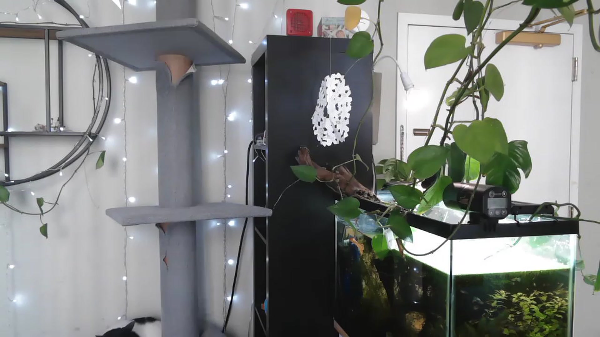Gallery image thumbnail from AriaFields's myfreecams stream on, 04/20/2023, 16:09 image 6 of 20