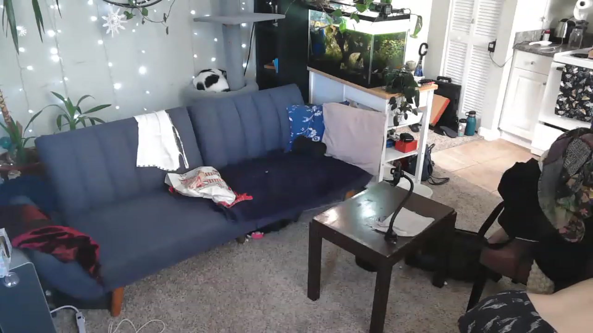 Gallery image thumbnail from AriaFields's myfreecams stream on, 04/20/2023, 17:02 image 9 of 20