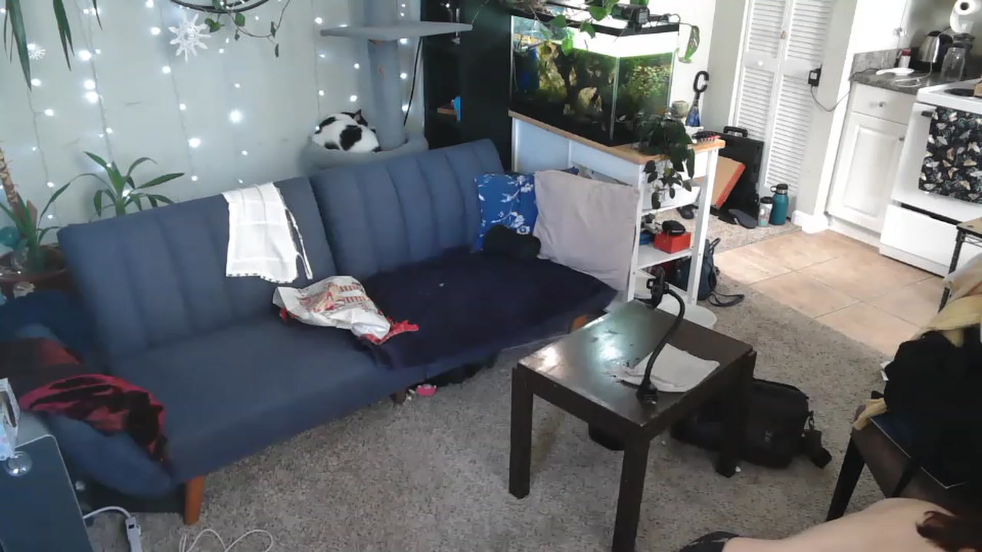 Gallery image thumbnail from AriaFields's myfreecams stream on, 04/20/2023, 17:02 image 7 of 20
