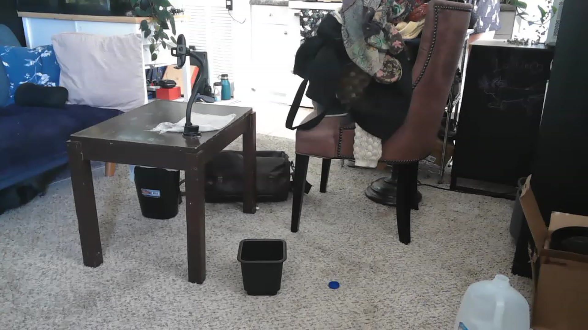 Gallery image thumbnail from AriaFields's myfreecams stream on, 04/20/2023, 17:02 image 16 of 20