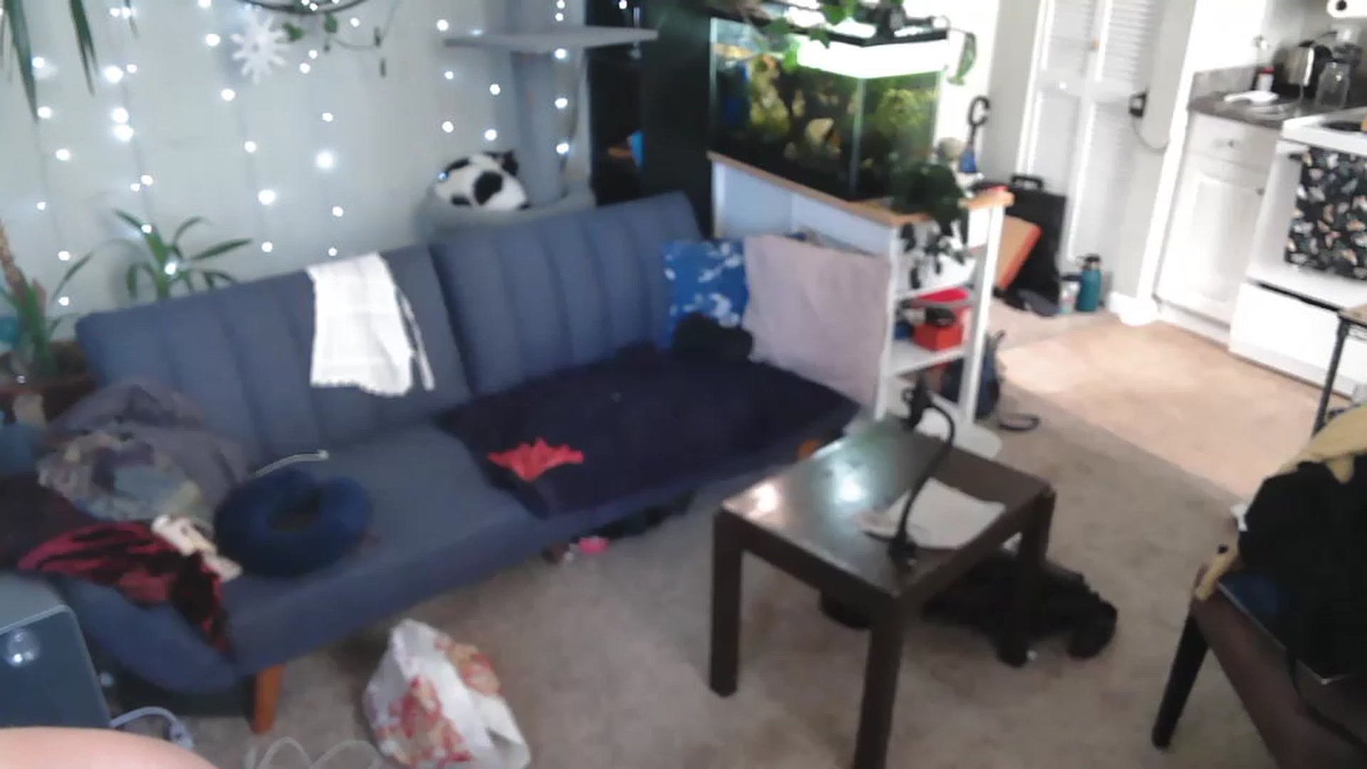 Gallery image thumbnail from AriaFields's myfreecams stream on, 04/20/2023, 17:02 image 1 of 20