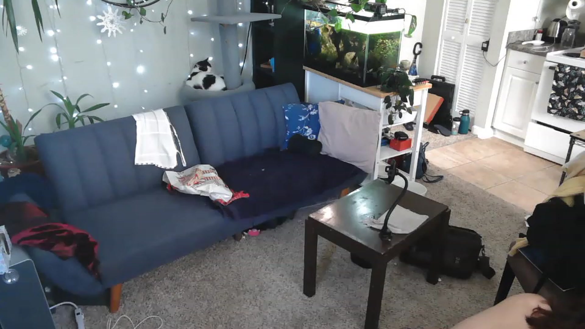 Gallery image thumbnail from AriaFields's myfreecams stream on, 04/20/2023, 17:02 image 6 of 20