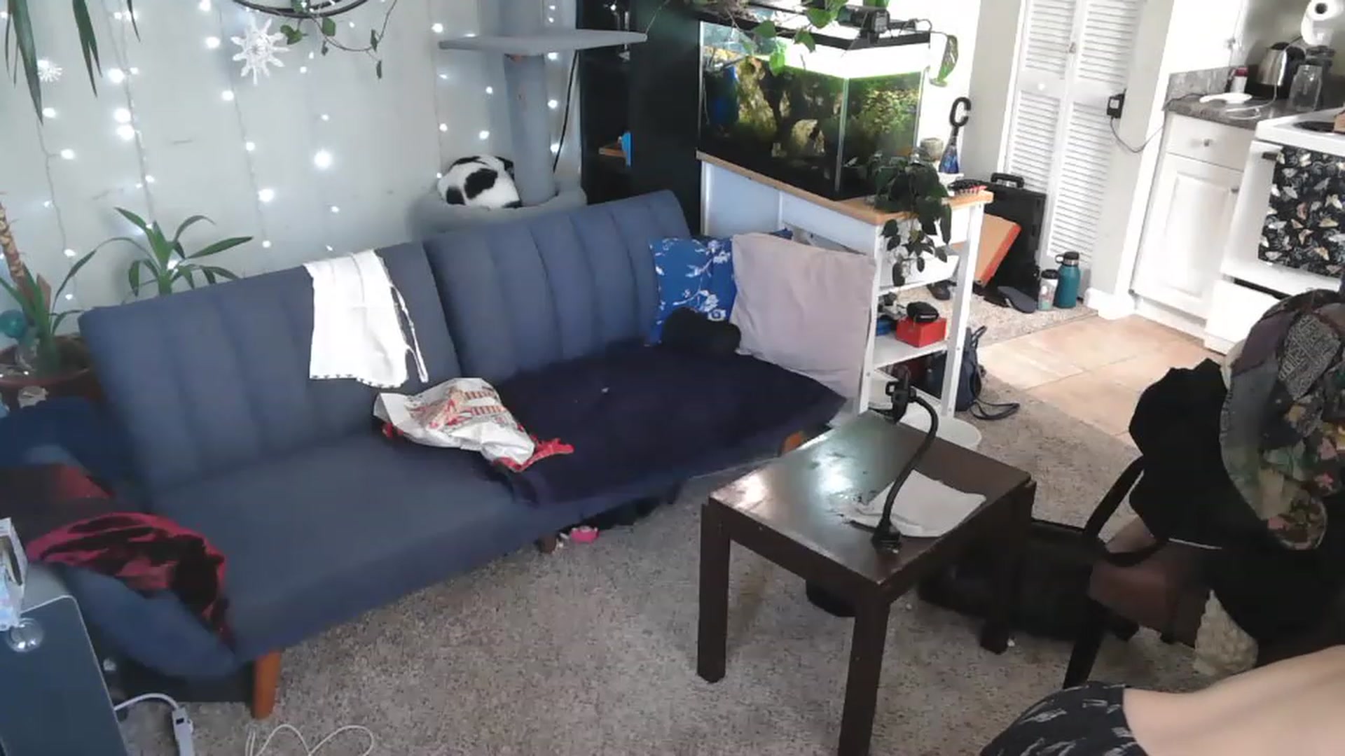 Gallery image thumbnail from AriaFields's myfreecams stream on, 04/20/2023, 17:02 image 8 of 20