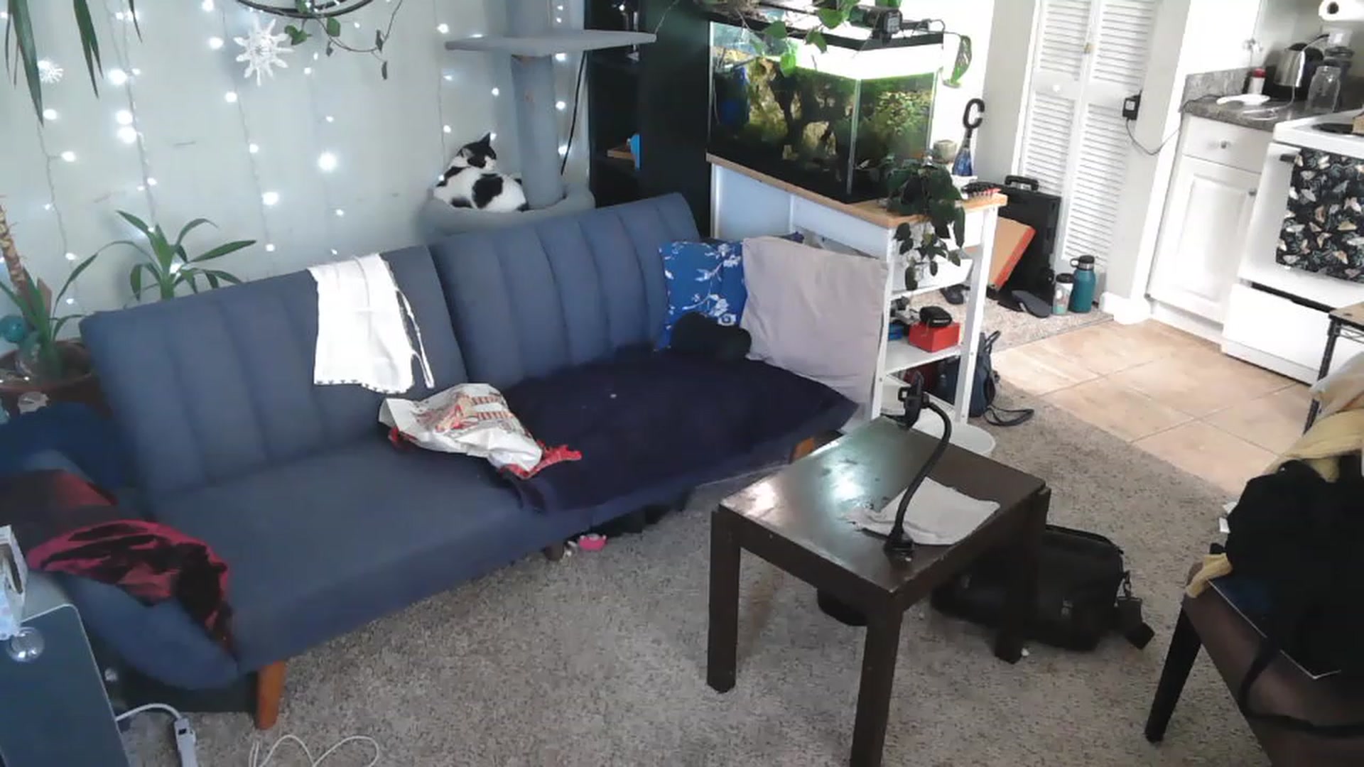 Gallery image thumbnail from AriaFields's myfreecams stream on, 04/20/2023, 17:02 image 5 of 20