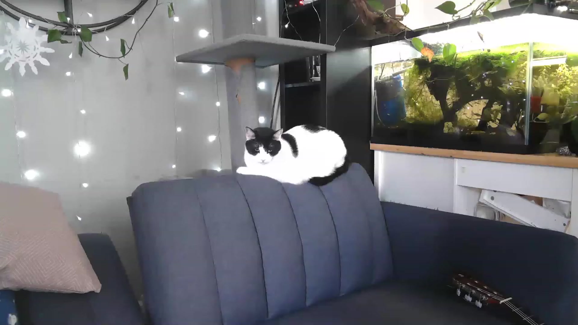 Gallery image thumbnail from AriaFields's myfreecams stream on, 04/21/2023, 18:32 image 10 of 20