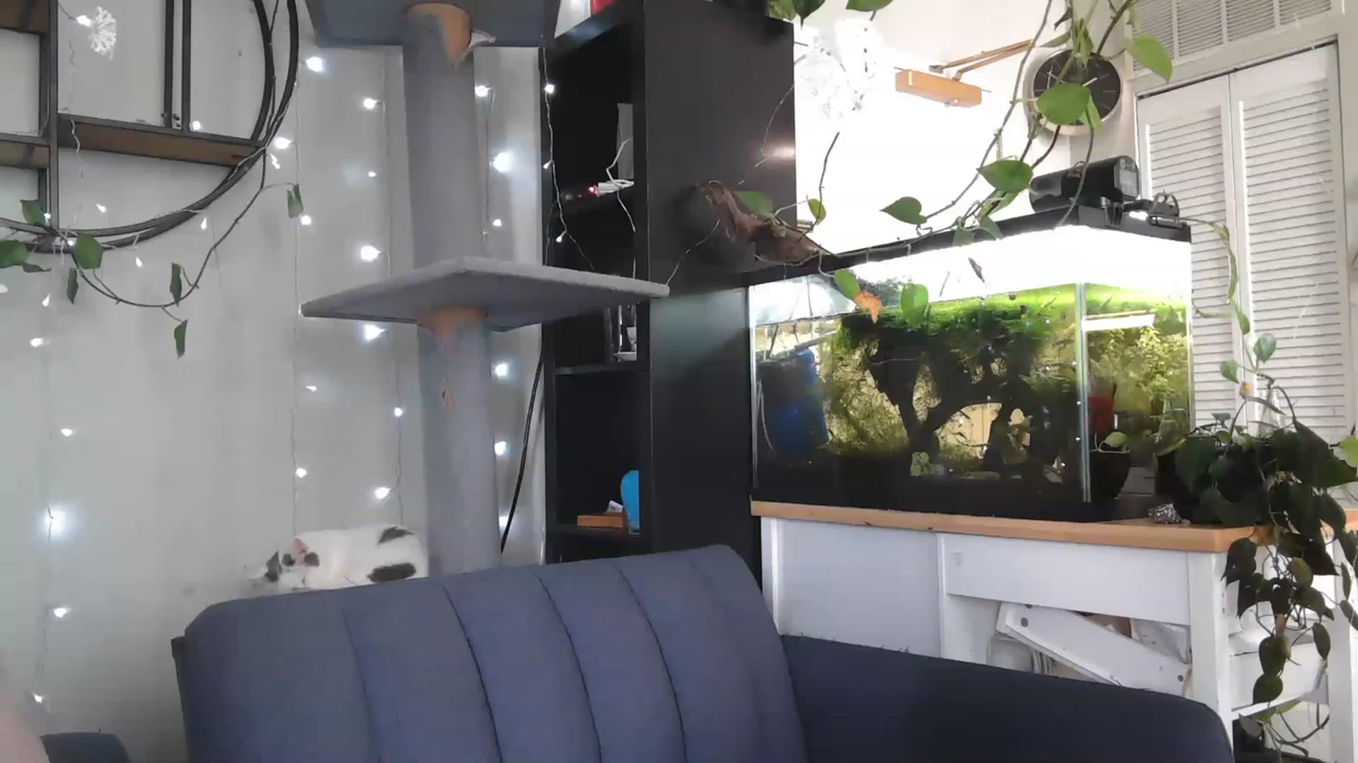 Gallery image thumbnail from AriaFields's myfreecams stream on, 04/21/2023, 18:32 image 4 of 20