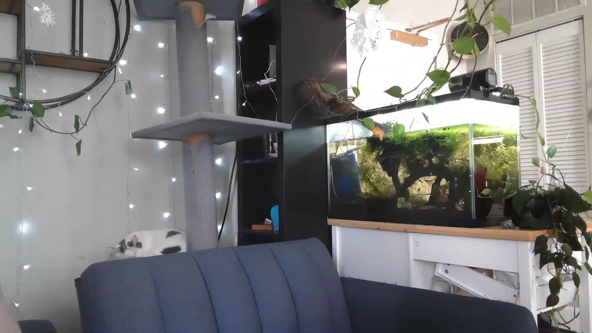 Gallery image thumbnail from AriaFields's myfreecams stream on, 04/21/2023, 18:32 image 1 of 20