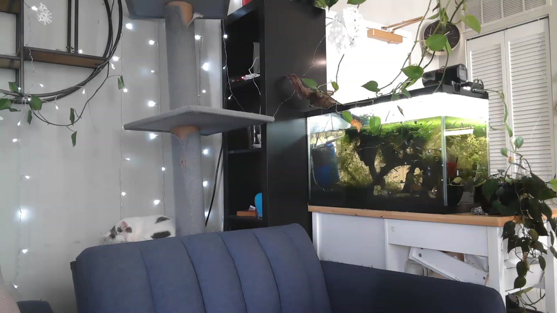 Gallery image thumbnail from AriaFields's myfreecams stream on, 04/21/2023, 18:32 image 2 of 20