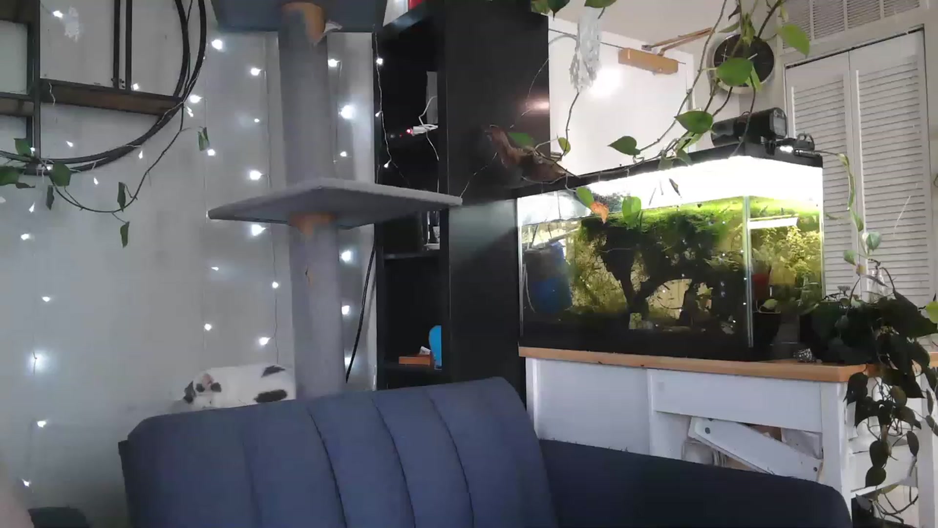 Gallery image thumbnail from AriaFields's myfreecams stream on, 04/21/2023, 18:32 image 3 of 20
