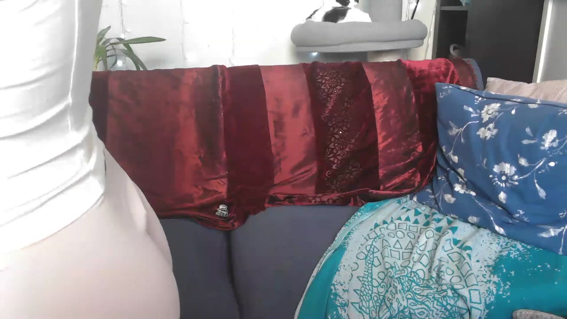 Gallery image thumbnail from AriaFields's myfreecams stream on, 05/02/2023, 14:19 image 17 of 20