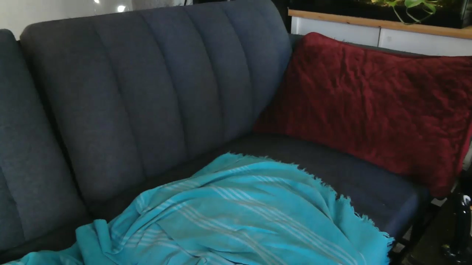 Gallery image thumbnail from AriaFields's myfreecams stream on, 06/12/2023, 21:37 image 3 of 20