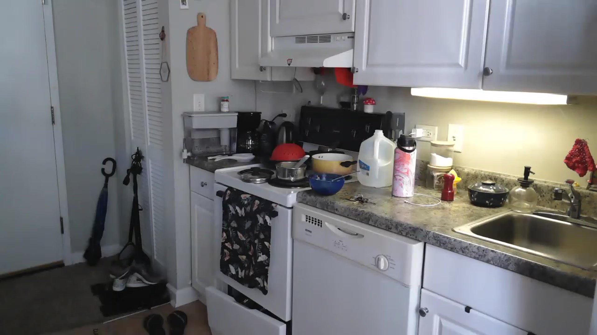 Gallery image thumbnail from AriaFields's myfreecams stream on, 06/13/2023, 20:00 image 17 of 20