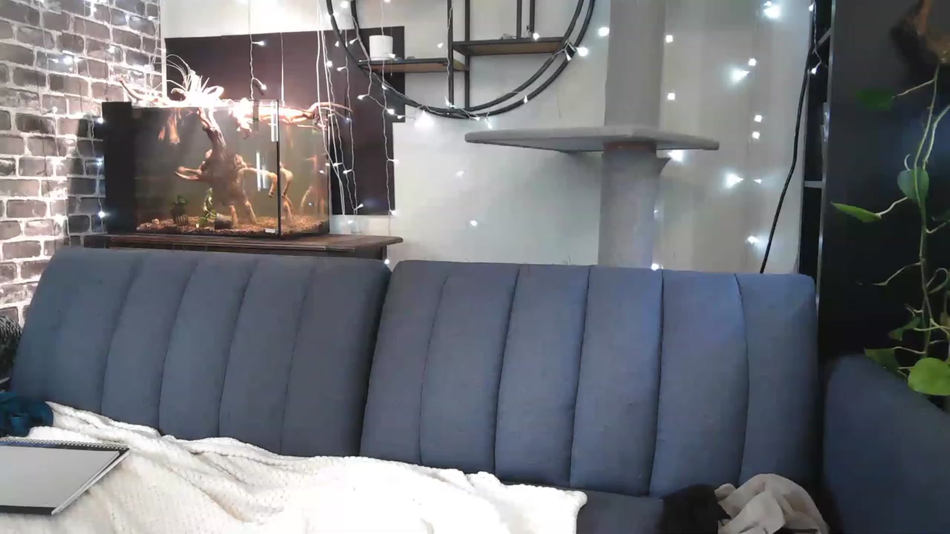 Gallery image thumbnail from AriaFields's myfreecams stream on, 06/19/2023, 20:00 image 14 of 20
