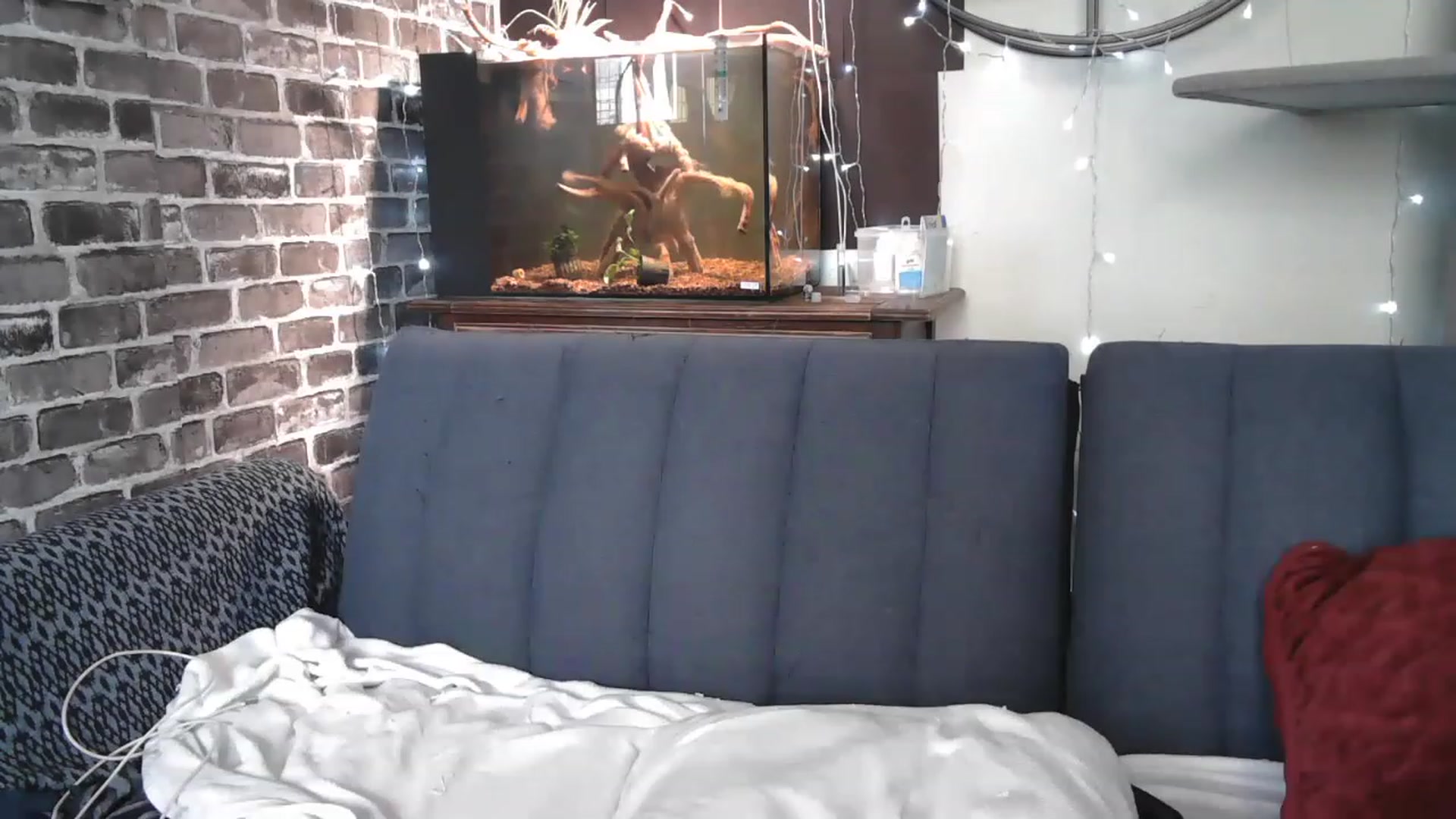 Gallery image thumbnail from AriaFields's myfreecams stream on, 06/21/2023, 19:11 image 7 of 20