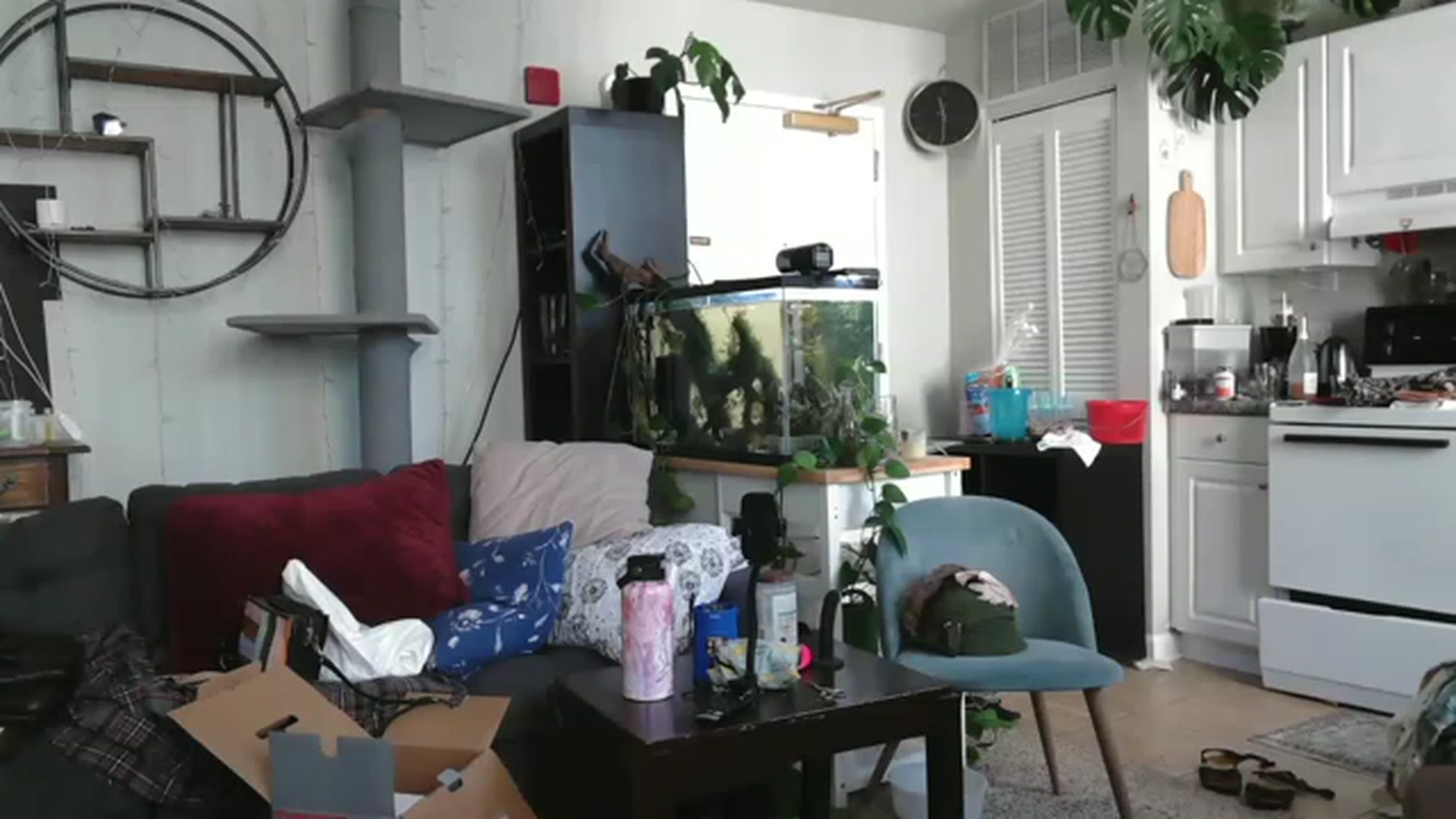 Gallery image thumbnail from AriaFields's myfreecams stream on, 07/11/2023, 15:32 image 20 of 20