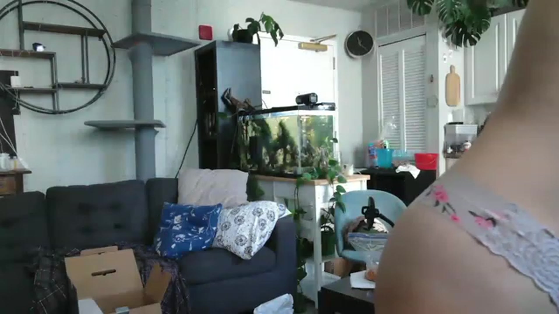 Gallery image thumbnail from AriaFields's myfreecams stream on, 07/11/2023, 15:32 image 5 of 20