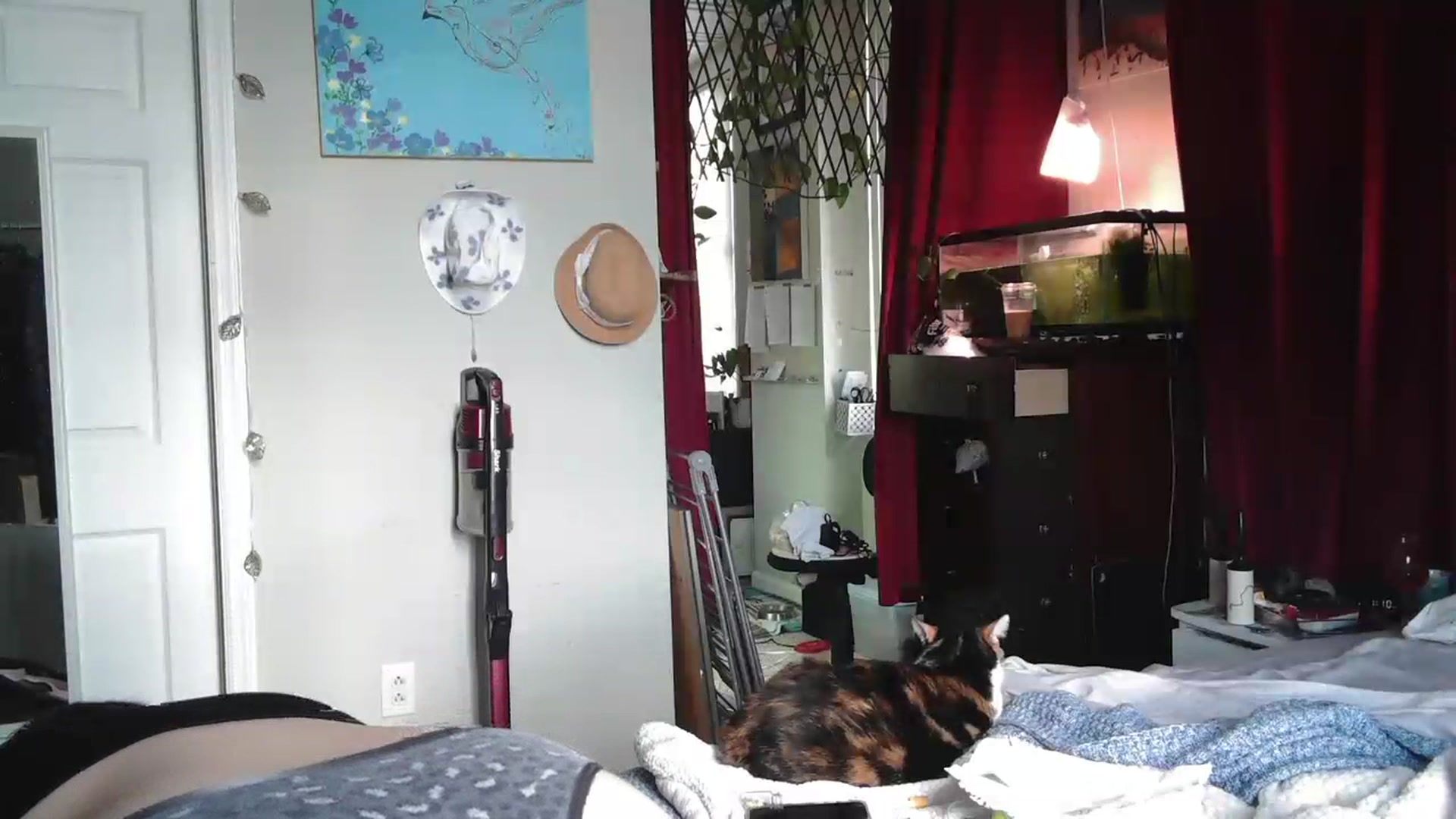 Gallery image thumbnail from AriaFields's myfreecams stream on, 07/12/2023, 17:33 image 2 of 20