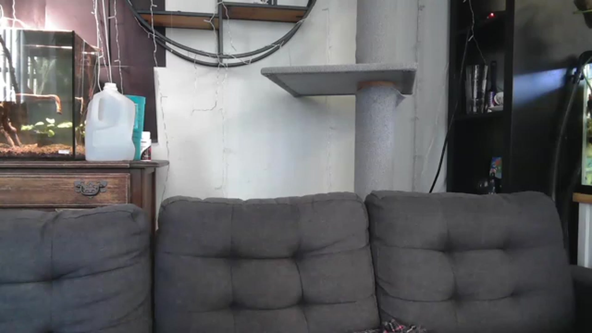 Gallery image thumbnail from AriaFields's myfreecams stream on, 07/14/2023, 20:08 image 14 of 20