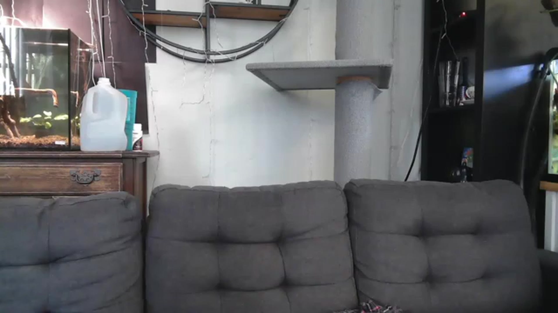 Gallery image thumbnail from AriaFields's myfreecams stream on, 07/14/2023, 20:08 image 13 of 20