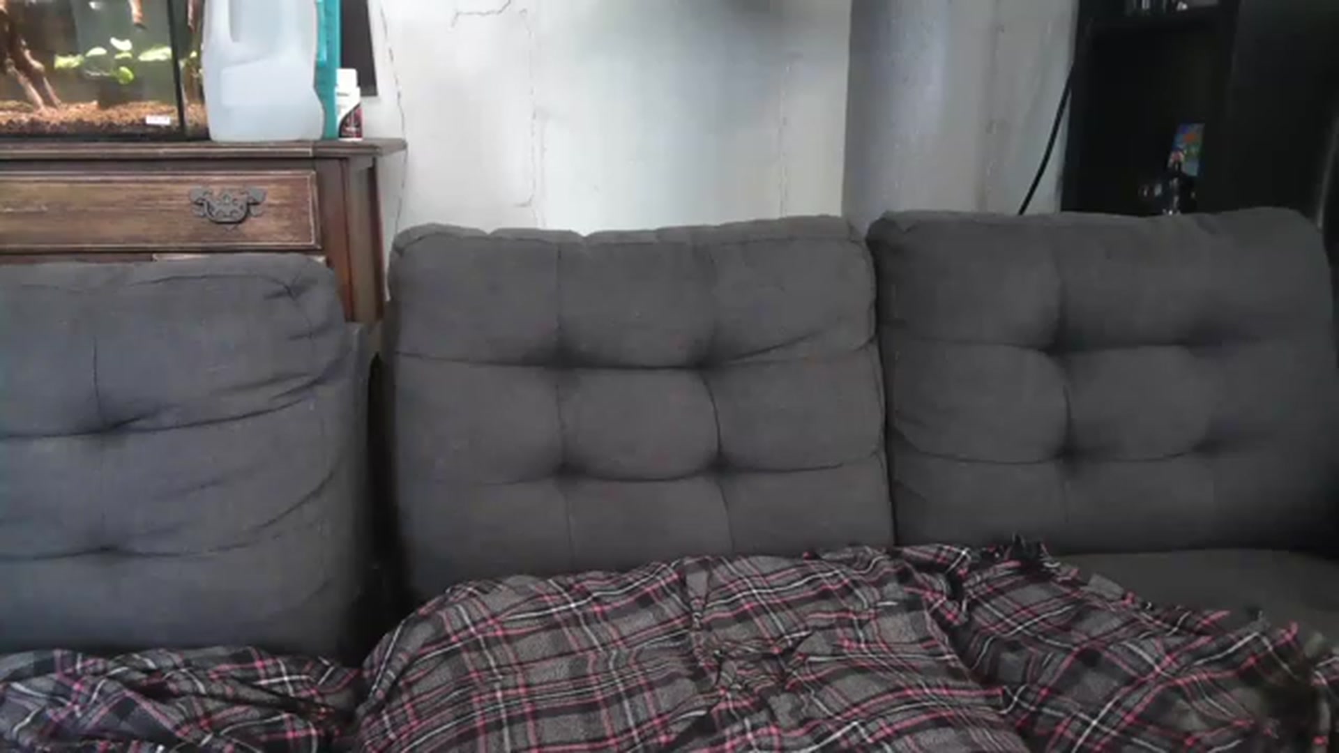 Gallery image thumbnail from AriaFields's myfreecams stream on, 07/14/2023, 20:08 image 8 of 20